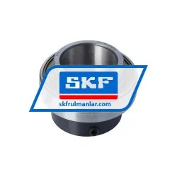 SKF YEL210-2DW/AG