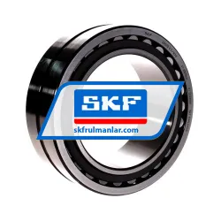 SKF 24020CC/W33