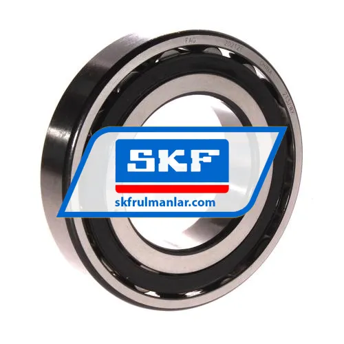 SKF 20212TN9