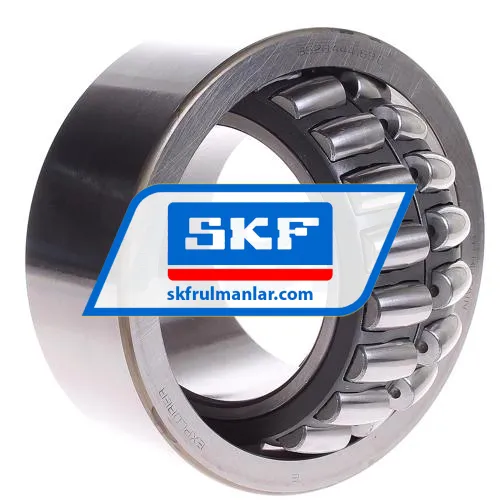 SKF BS2B444169C ürün fotoğrafı 3