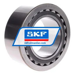 SKF BS2B444169C