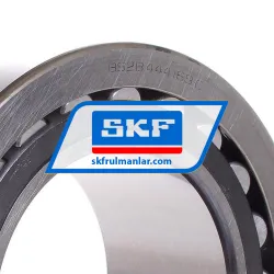 SKF BS2B444169C rulman resim 2