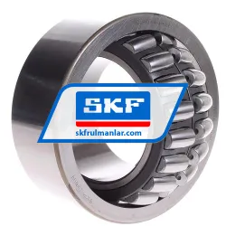 SKF BS2B444169C rulman resim 3