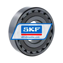SKF 21309EW