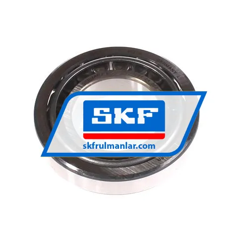 SKF 20209