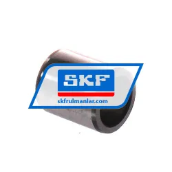 SKF IR10X14X16