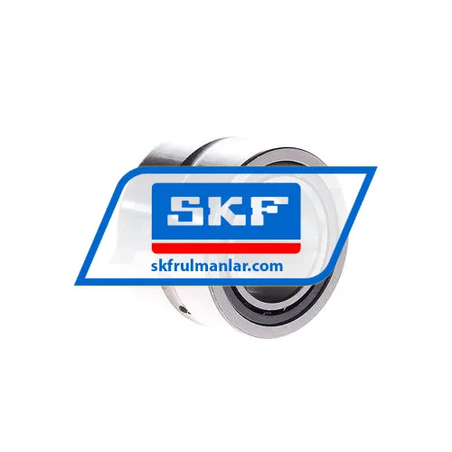 SKF NA6905