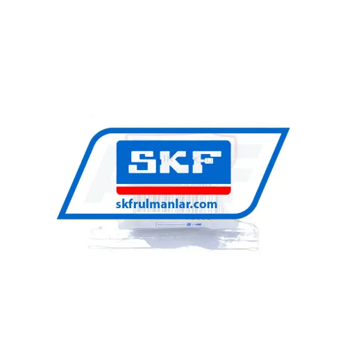 SKF IR25X30X30