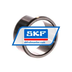 SKF IR40X48X22