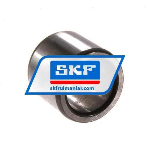 SKF IR17X24X20