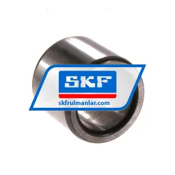 SKF IR17X24X20
