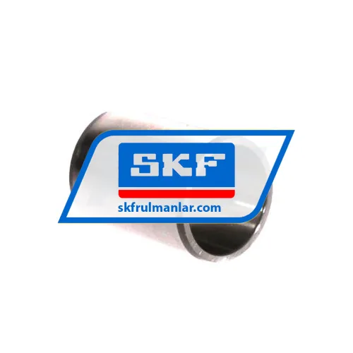 SKF IR25X30X38,5