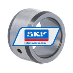 SKF IR15X20X12IS1
