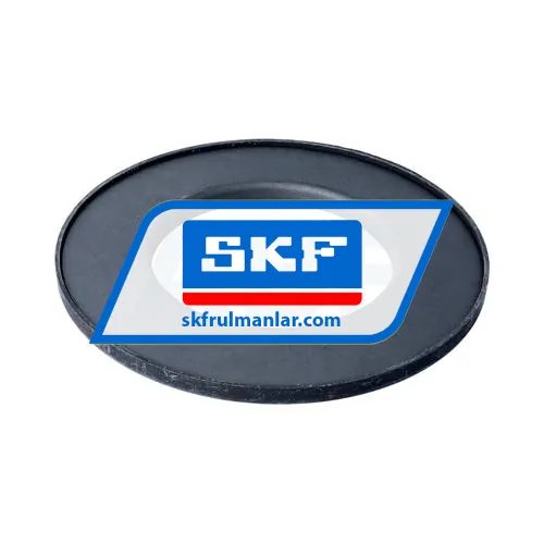 SKF N213