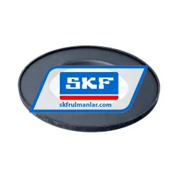 SKF N213