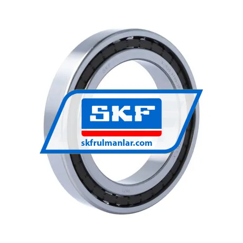 SKF N1020KTN9/SP