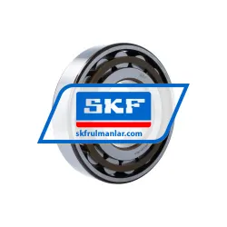 SKF N319ECP/C3