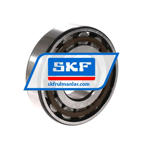 SKF N309ECP ürün fotoğrafı 2