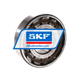 SKF N309ECP