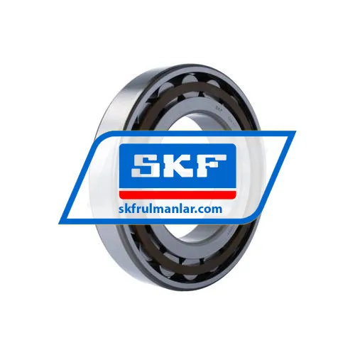 SKF N226ECP