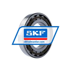 SKF N226ECP