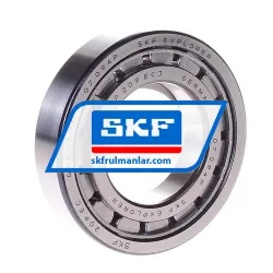 SKF NUP209ECJ