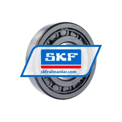 SKF NJ319ECJ