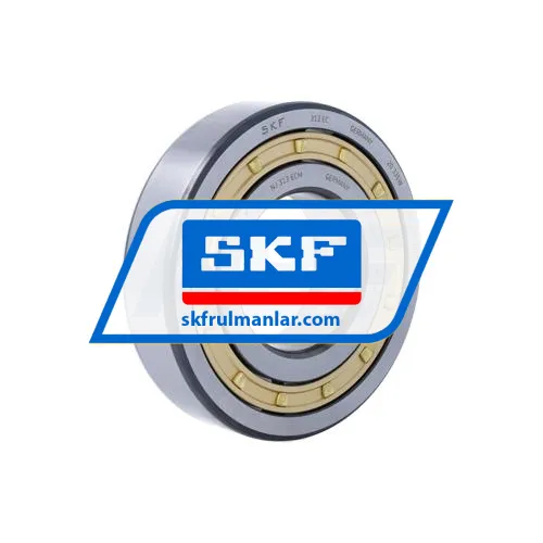 SKF NJ313ECM