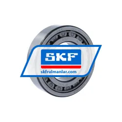 SKF NJ2213ECJ/C3