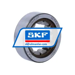 SKF RNU202ECP