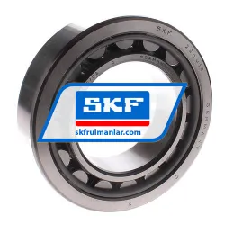 SKF NU2219/C3