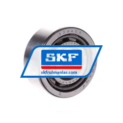 SKF NJ2304