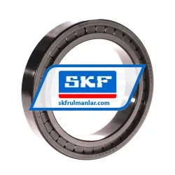 SKF NCF2920CV