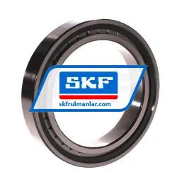 SKF NCF2920CV rulman resim 2