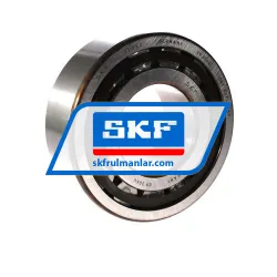 SKF NJ2315ECP/C4