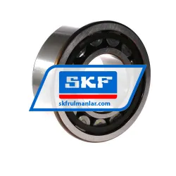 SKF NJ2315ECP/C4 rulman resim 2
