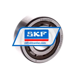 SKF NJ2204ECP