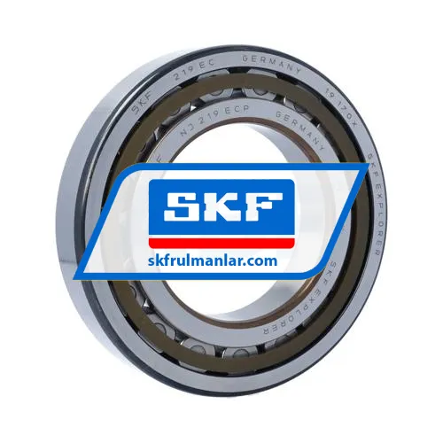 SKF NJ219ECP