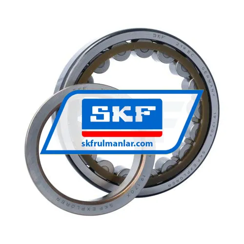 SKF NJ219ECP ürün fotoğrafı 3