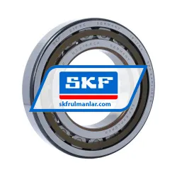 SKF NJ219ECP