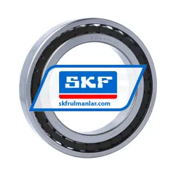 SKF N1019KTN9/SP