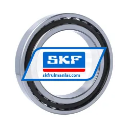 SKF N1019KTN9/SP rulman resim 2