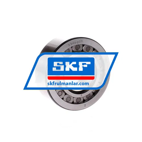 SKF NJG2309VH/C3VB158