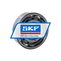 SKF N307