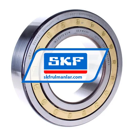 SKF NJ2220ECM