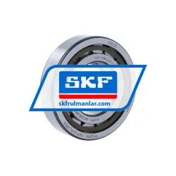 SKF NUP208ECP/C3