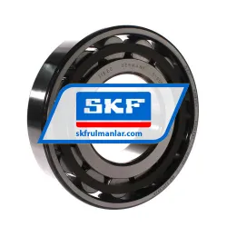 SKF N318ECP