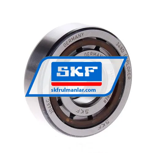 SKF NUP304ECP