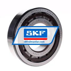 SKF NJ313ECP/C3