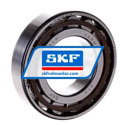 SKF N209ECP